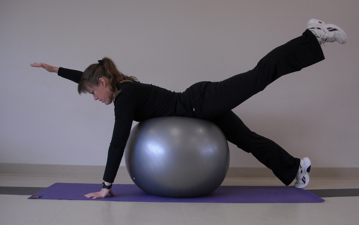 Support Your Back When Riding Horses Horse Journals